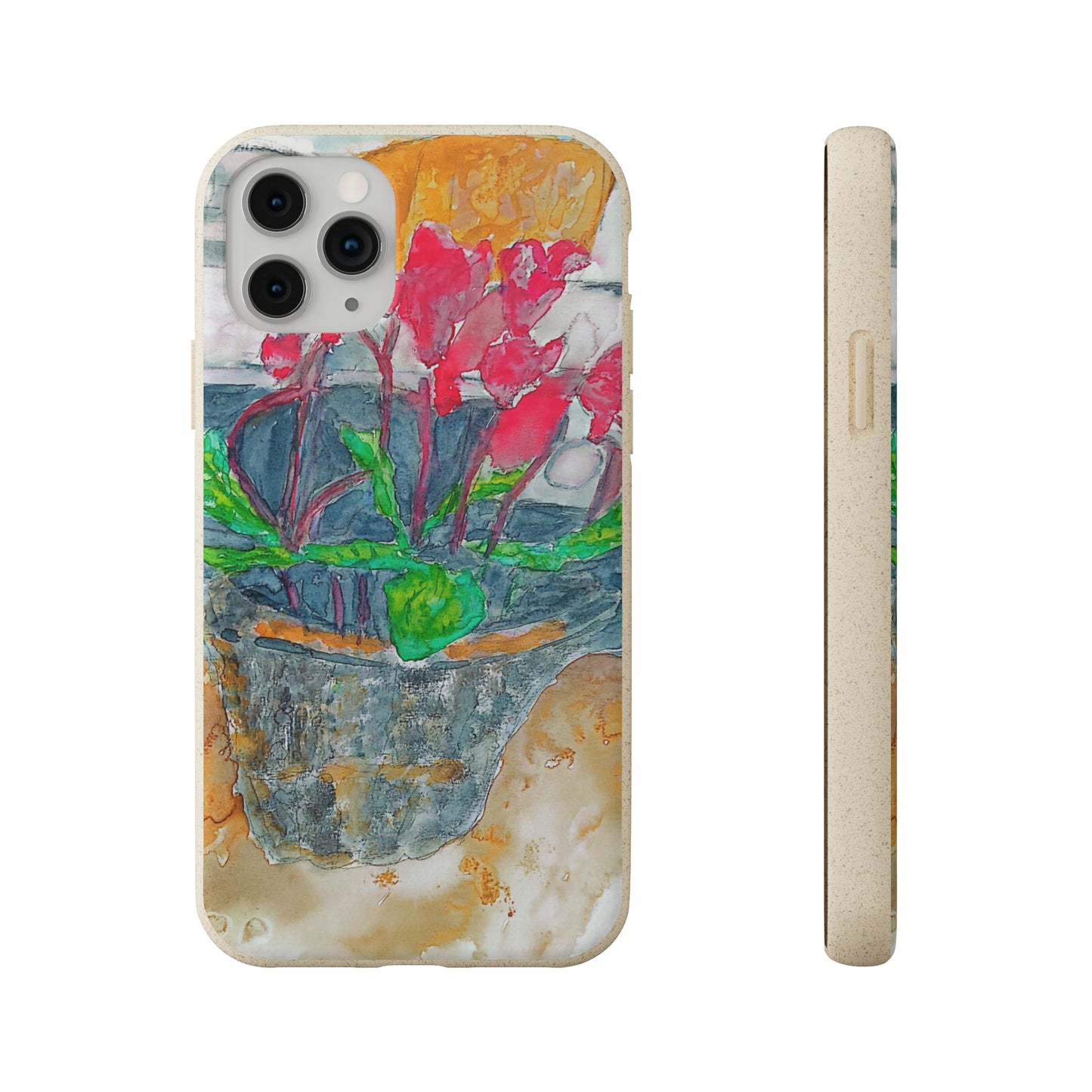 Biodegradable Cases