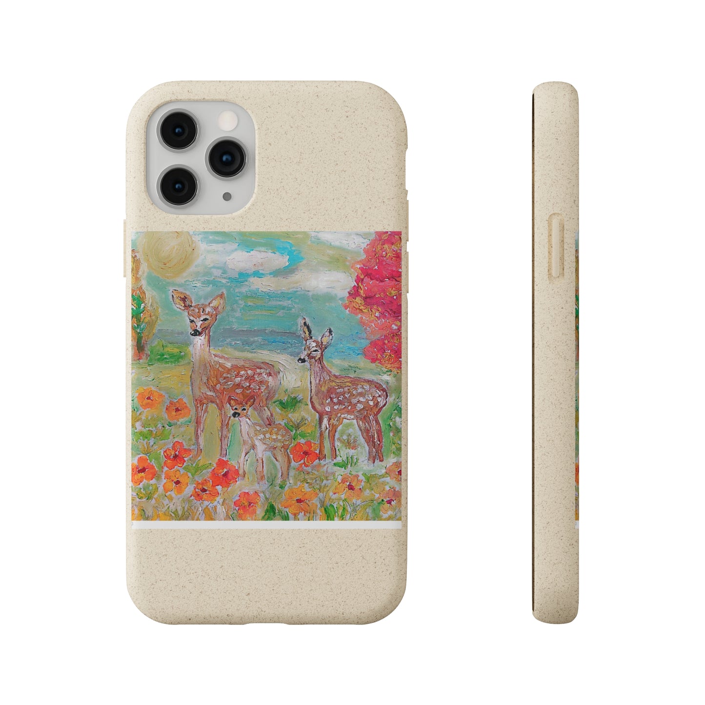 Biodegradable Cases